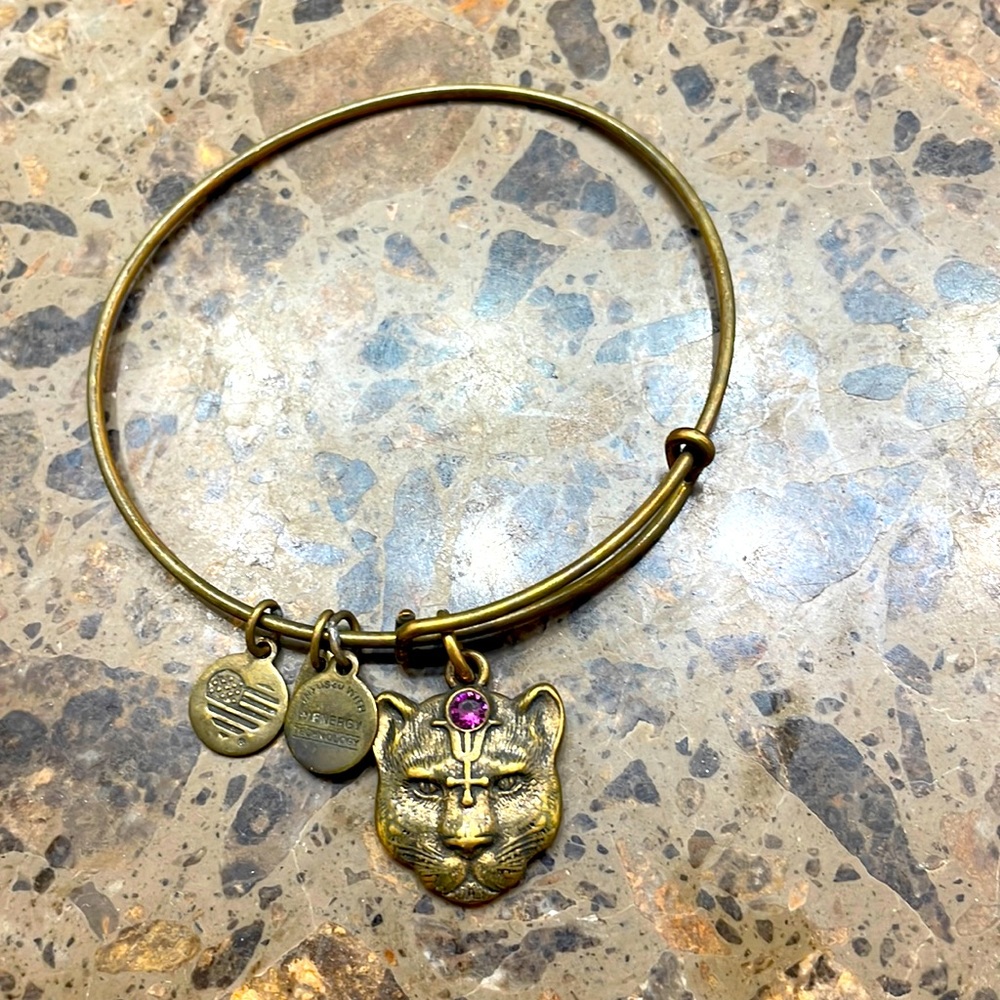 Alex and Ani gold bracelet